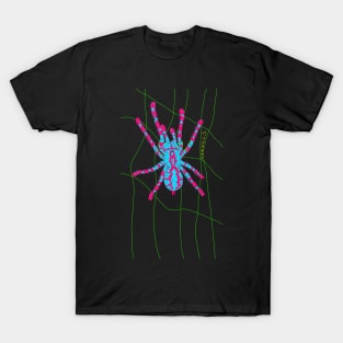 Ornamental tarantula Poecilotheria regalis T-Shirt
